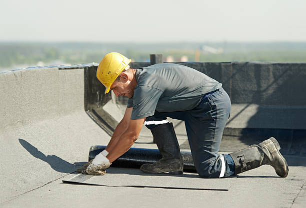 Best Specialty Insulation in Walker Valley, NY